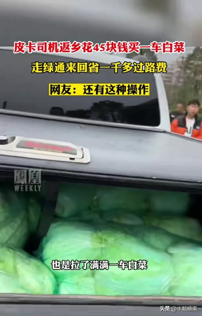 皮卡司机返乡开车.花300买白菜走绿色通道省1200元过路费