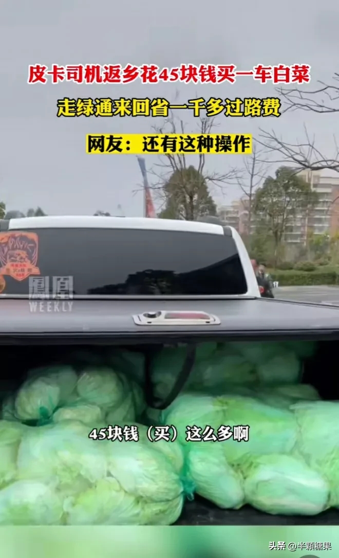 皮卡司机返乡开车.花300买白菜走绿色通道省1200元过路费