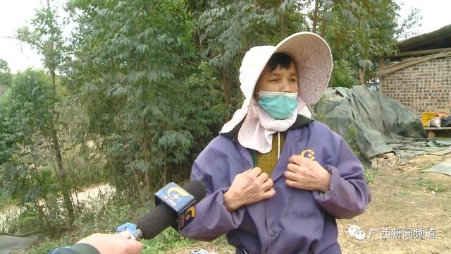 养殖场上千只鸡突然死亡,疑因隔壁物流公司燃放烟花导致