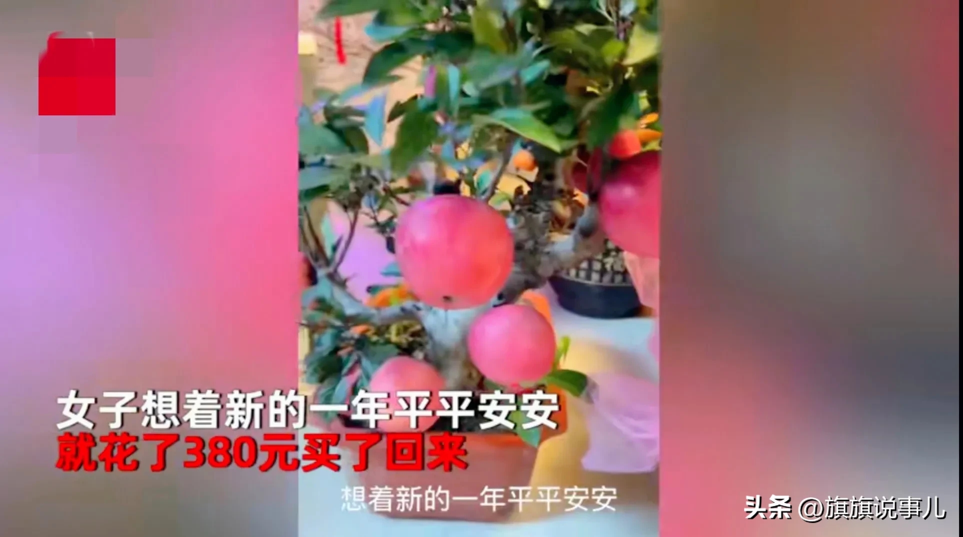 过年女子想讨个红火,花380元买到可拆卸苹果树真让人哭笑不得