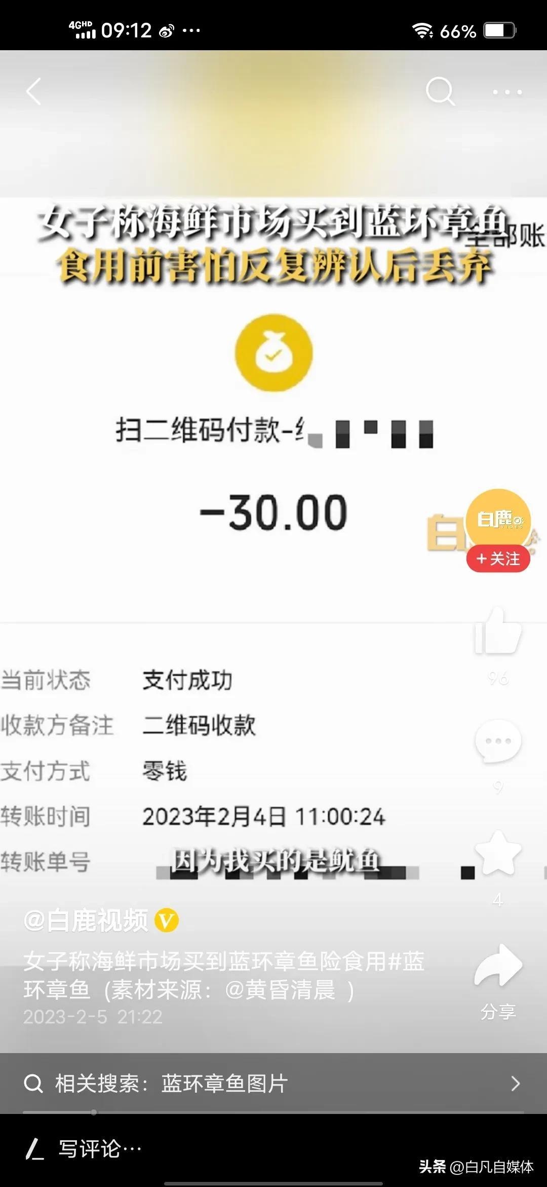 三亚女子称在海鲜市场买到巨毒蓝环章鱼.喷出来的墨水无解
