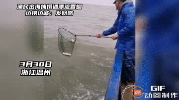 渔民作业时捞到漂流香烟打捞上来一看,卧槽,中华牌的