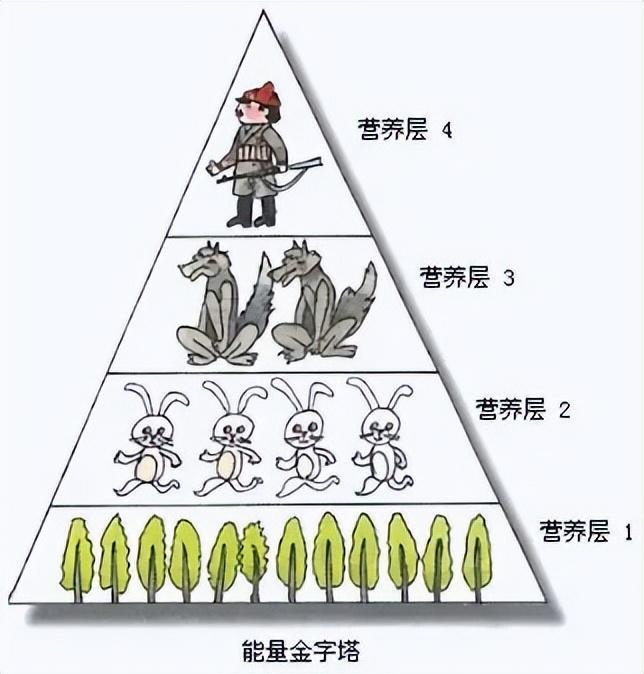 又没吃你家的肉肉,比起蔬菜.为什么大部分人更喜欢吃肉类?