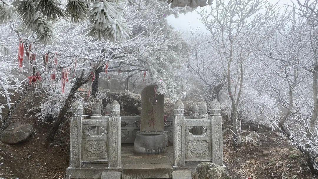 泰山之巅雨后现雾凇奇观太让人为之迷恋.玉树琼枝宛若仙境