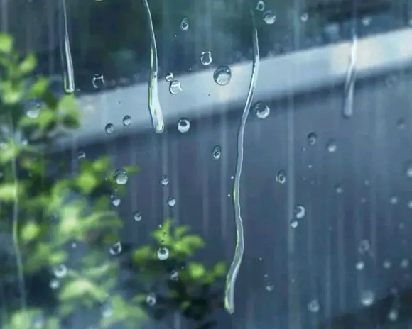 雨水的芬芳之谜：科学解释为何雨后空气那么好闻